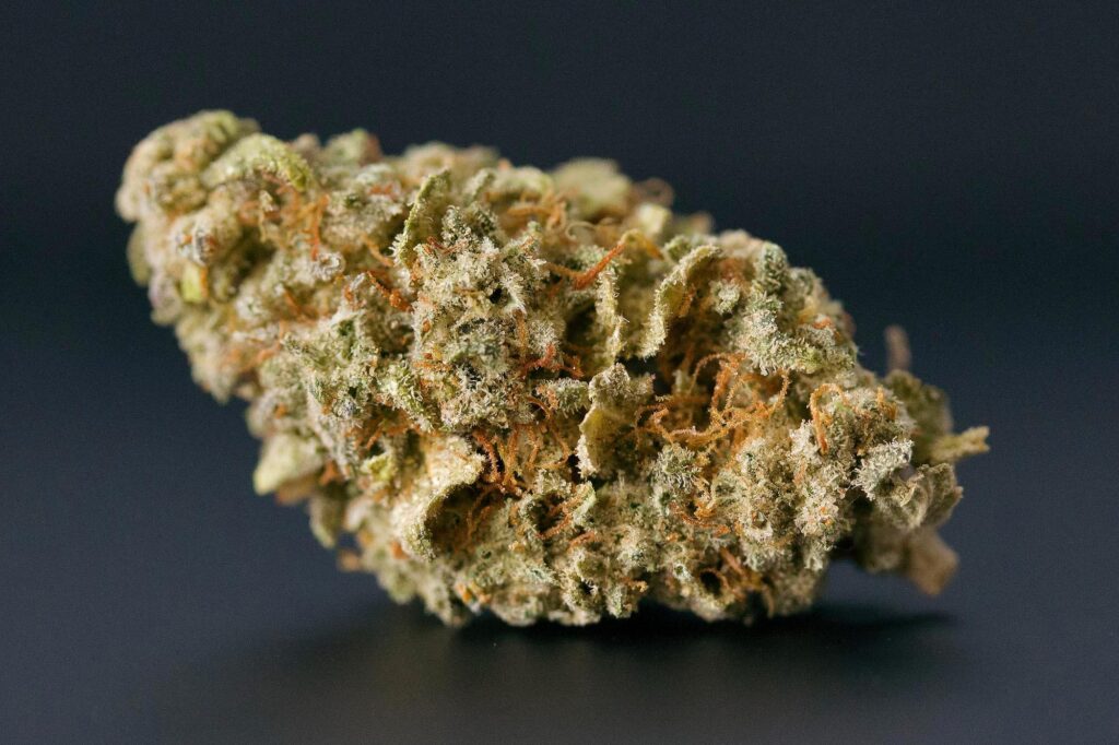 Bio Gelato